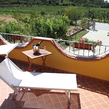 B&B Panta Rei Cicerale Номер фото